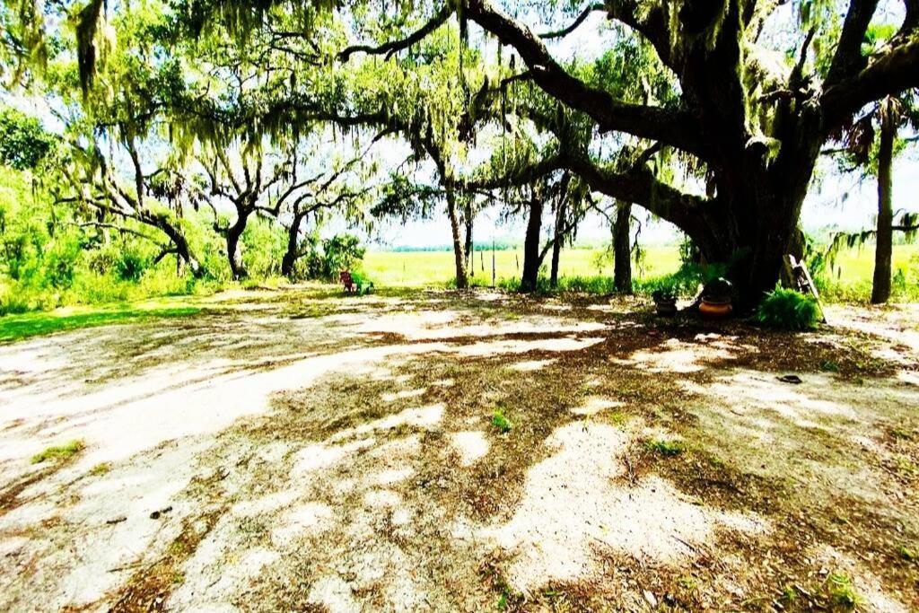 Secluded Tiny House By The Marsh With Hunting Island Beach Pass Frogmore Екстериор снимка