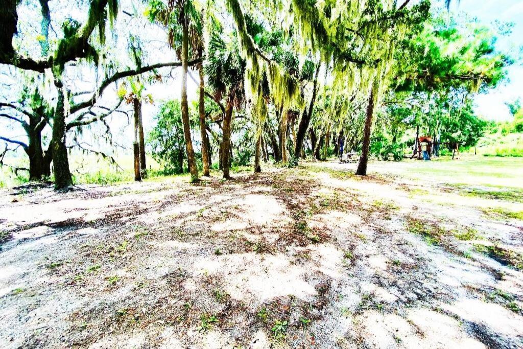 Secluded Tiny House By The Marsh With Hunting Island Beach Pass Frogmore Екстериор снимка