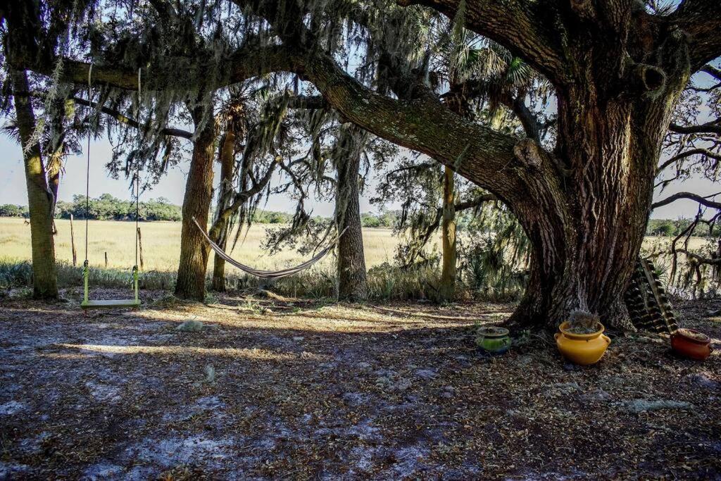 Secluded Tiny House By The Marsh With Hunting Island Beach Pass Frogmore Екстериор снимка