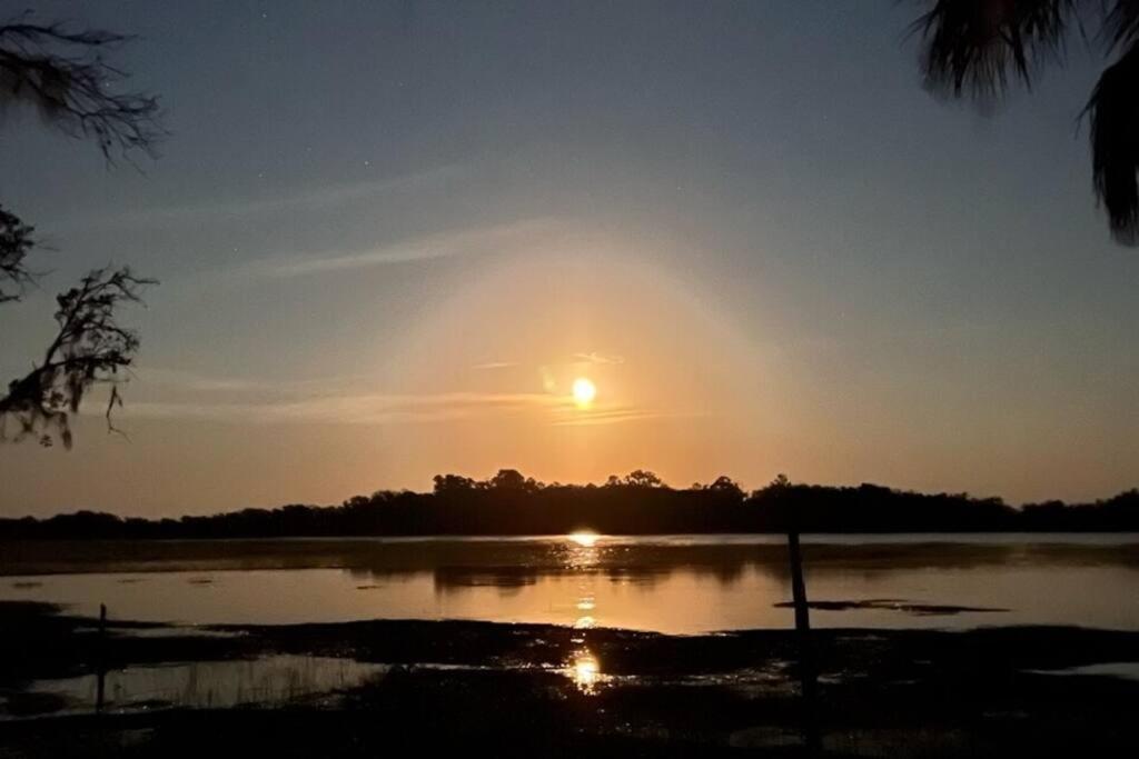 Secluded Tiny House By The Marsh With Hunting Island Beach Pass Frogmore Екстериор снимка