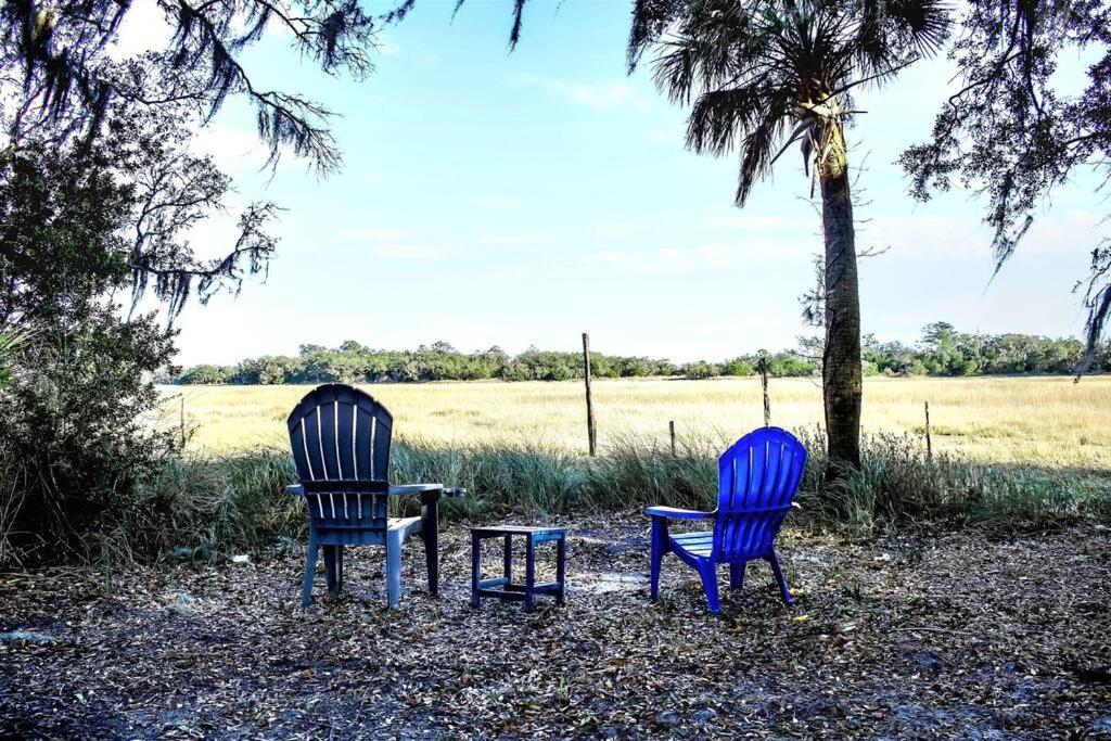 Secluded Tiny House By The Marsh With Hunting Island Beach Pass Frogmore Екстериор снимка